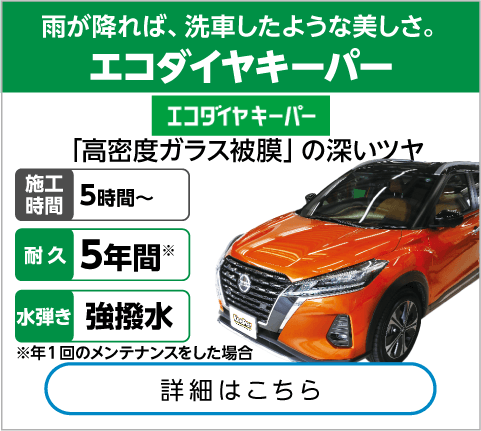 ECOプラスダイヤモンドキーパー