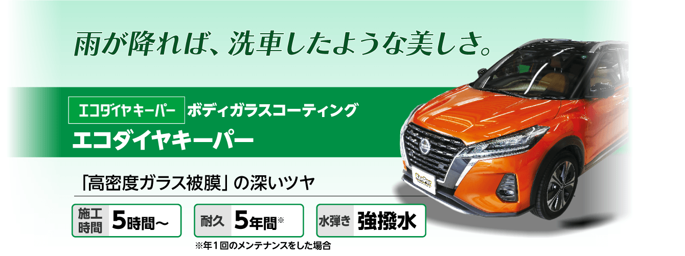 ECOプラスダイヤモンドキーパー